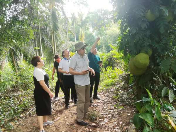 旅游专家魏小安一行莅临我司实地考察调研九香溪旅游度假区项目